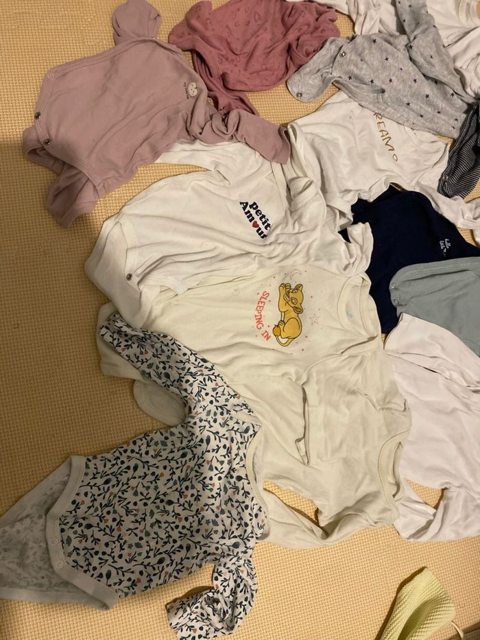 Lot 16 bodies fille 3 mois – manches courtes – Kiabi, Orchestra, Gemmo - photo numéro 5