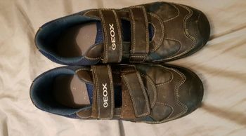 Chaussures Geox  marron/ bleu