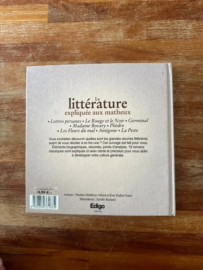 La littérature expliquait aux matheux - photo numéro 3