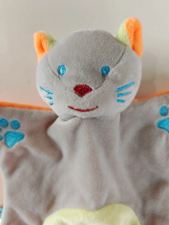 Chat gris orange - photo numéro 3