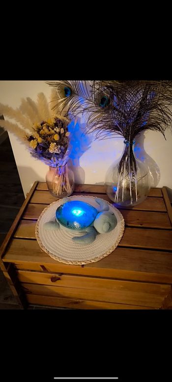 Veilleuse Tortue Cloud B neuve