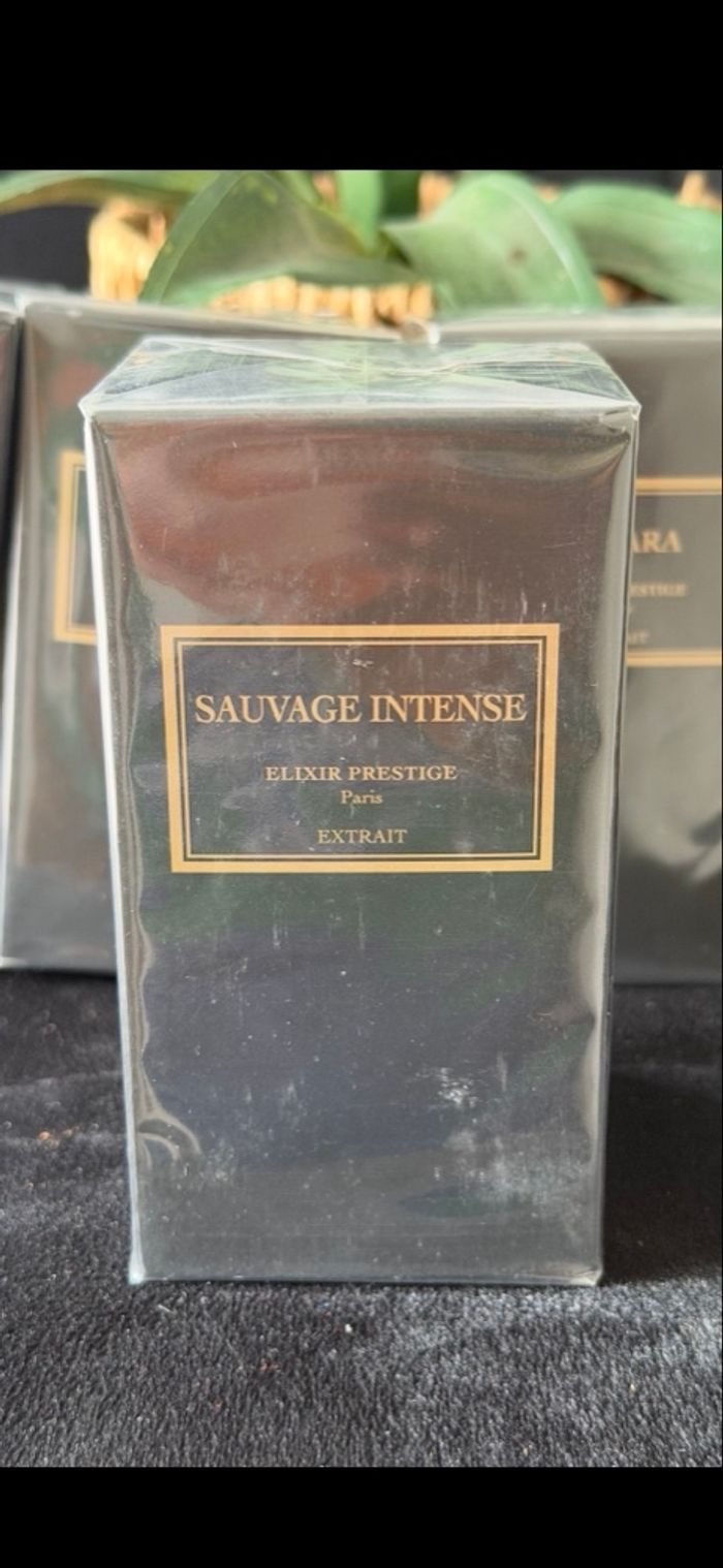 Elixir Prestige - photo numéro 7