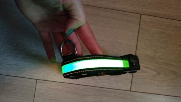 Colier lumineux - photo numéro 2