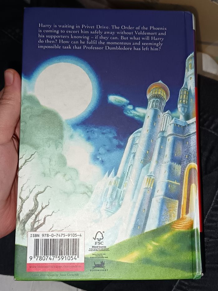 Harry potter and the deathly hallows - photo numéro 2