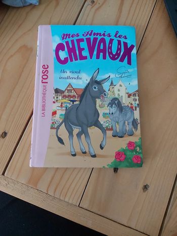 Livre mes amis les chevaux 🐴