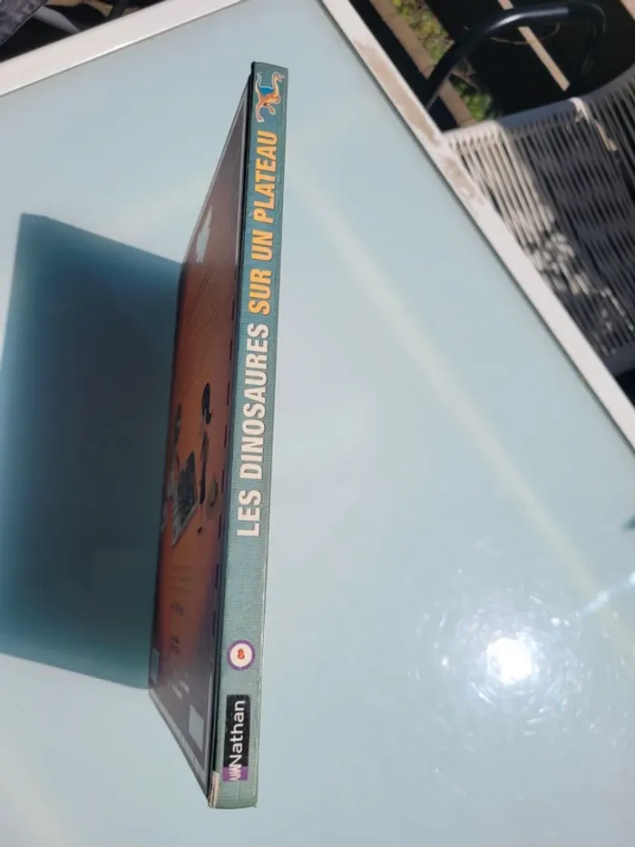 Livre Jeu 🦕 Les Dinosaures sur un plateau 🦖 (81) - photo numéro 12