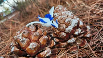 Super figurine Pokemon Nintendo lugia