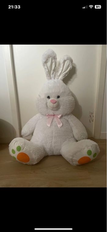 Lapin géant