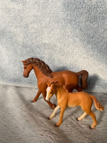 Jument est Poulin shleich 