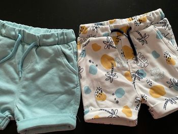 Lot 2 shorts 