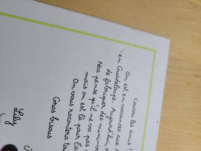 Le volcan de la soufrière - photo numéro 3