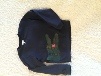 SWEAT LACOSTE 12 ANS 
