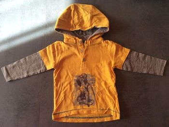 T-shirt manches longues à capuche 9 mois