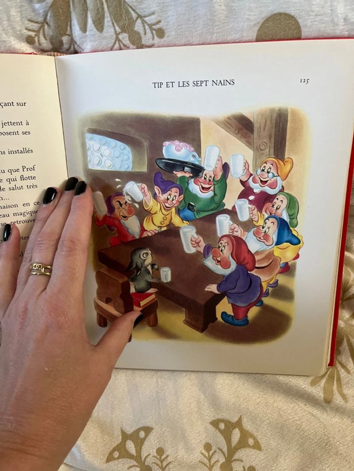 Livre vintage Walt Disney Les quatre flibustiers - photo numéro 14