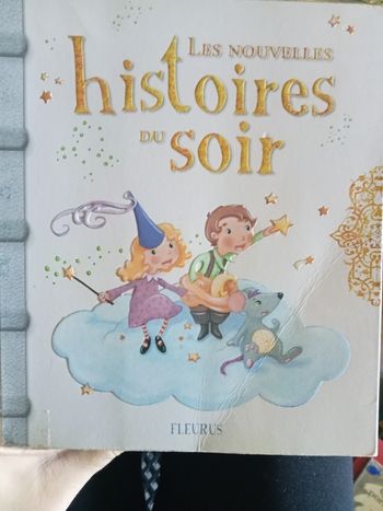 Livre Les nouvelles histoires du soir