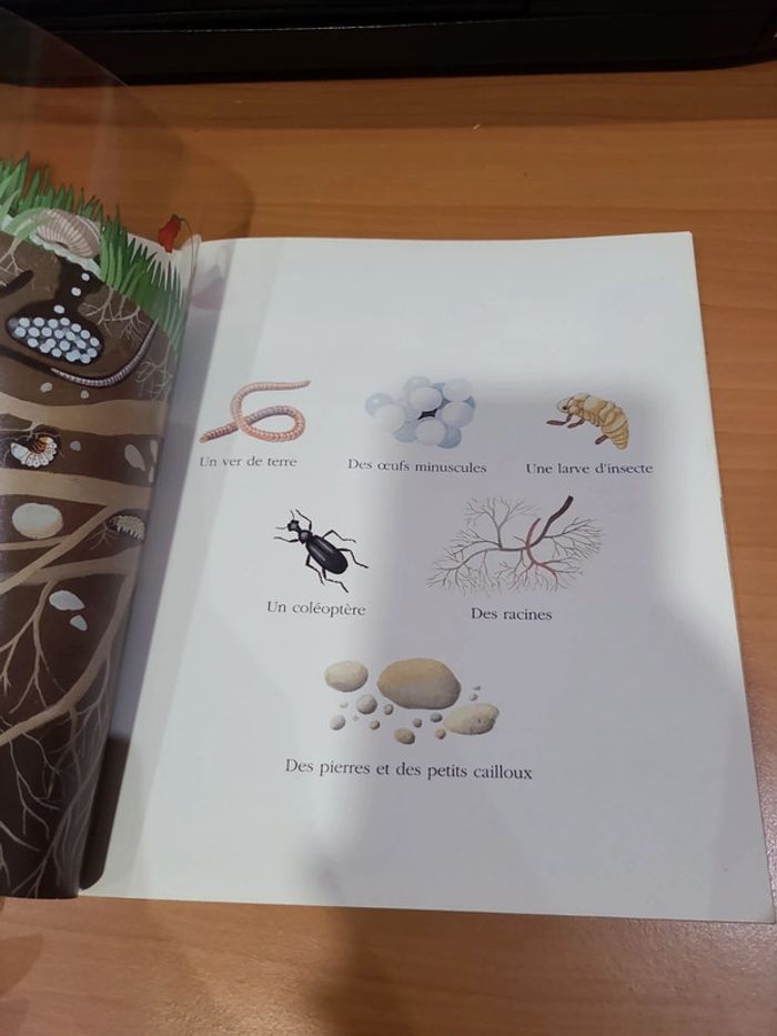 Cache cache le monde sous terre - photo numéro 11