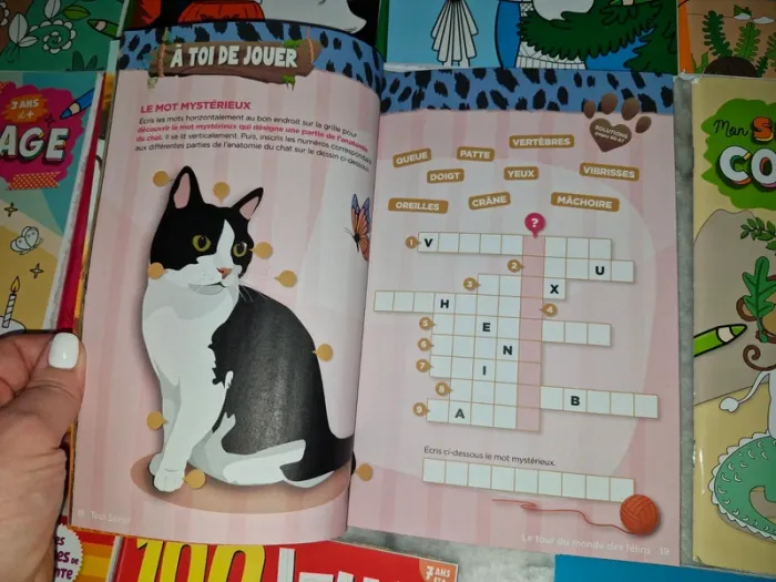 Lot de 11 livres de jeux, coloriage, lecture pour enfants - photo numéro 14