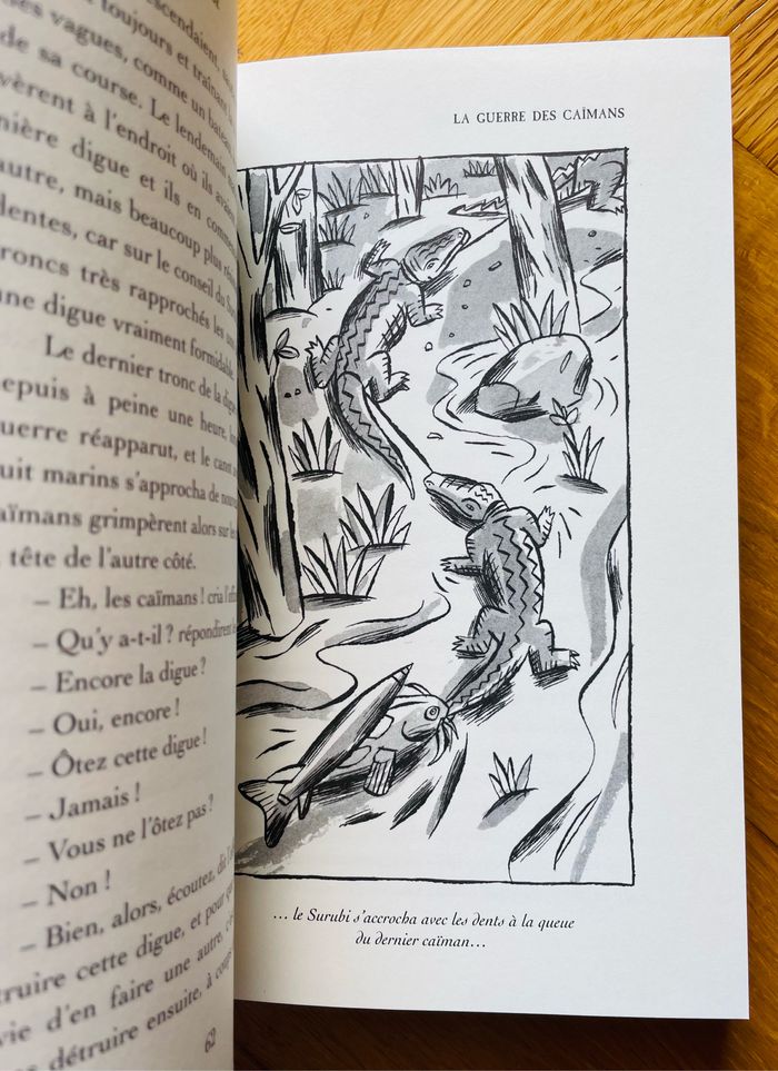 🦩🌿Contes de la forêt vierge Horacio Quiroga - photo numéro 7