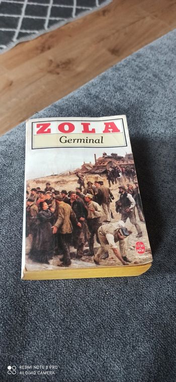 Livre germinal Zola