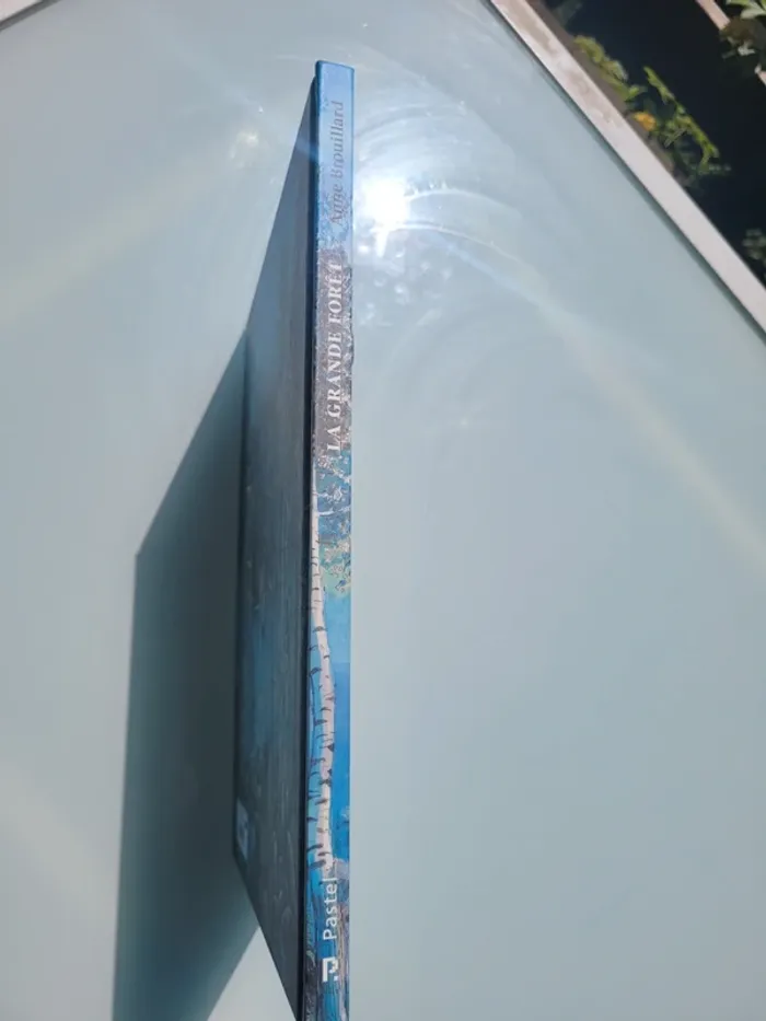 Livre couverture rigide, grand format, l'école des loisirs, La Grande Forêt, le pays des Chintiens - photo numéro 11