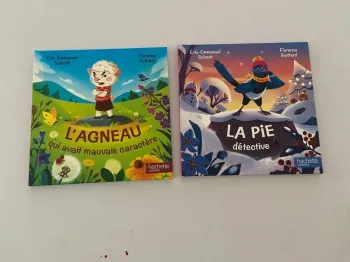 Livre hachette jeunesse
