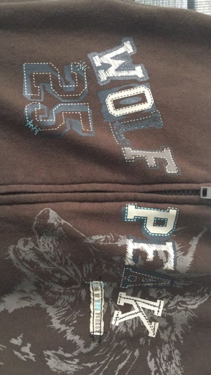 Veste à capuche garçon 12 ans - photo numéro 2