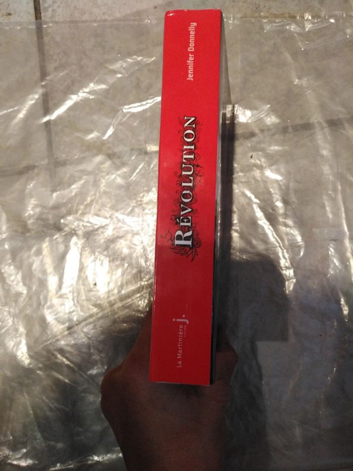 Révolution de Jennifer Donnelly - photo numéro 3