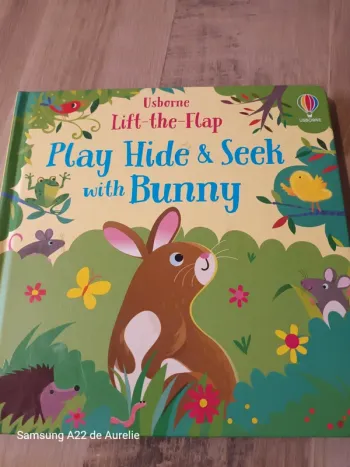 Livre en anglais