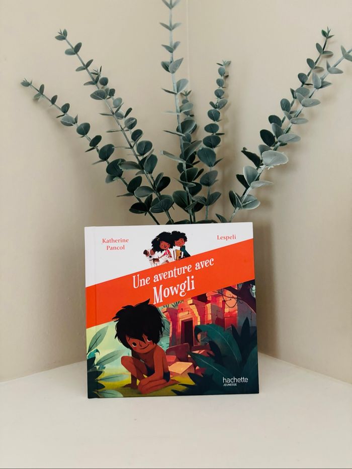 Lot de 3 livres - photo numéro 3