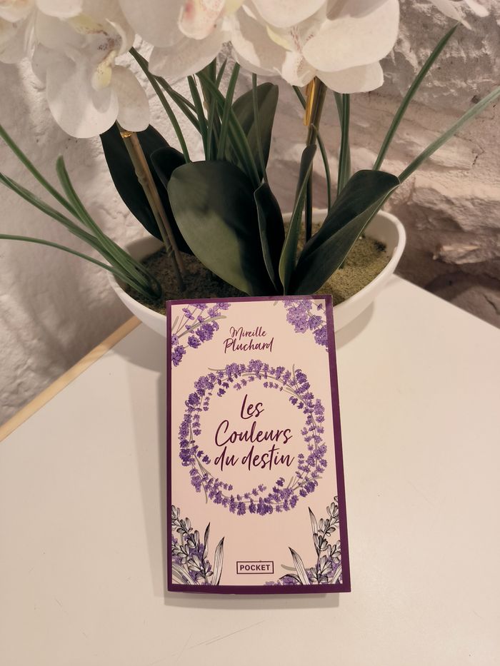 livre Les Couleurs Du Destin - Pluchard Mireille comme neuf