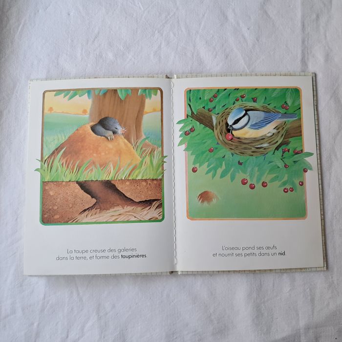 Livre Le Logis Des Animaux Bibliothèque Petits Lapins Nathan 1988 Nouvelle - photo numéro 10
