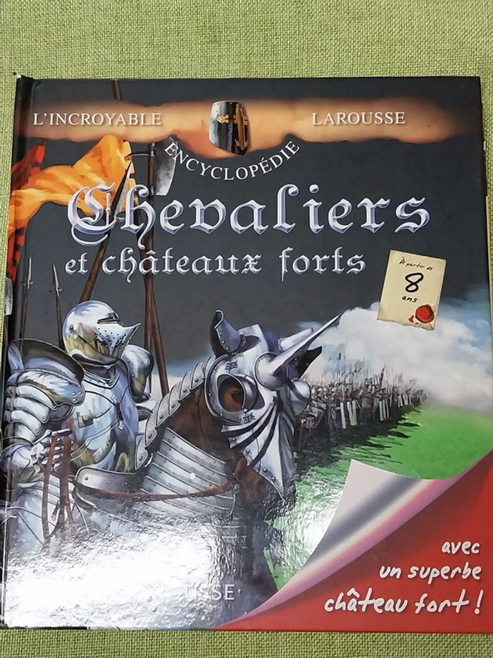 Chevaliers et châteaux forts Anne-Marie Lelorrain - photo numéro 1