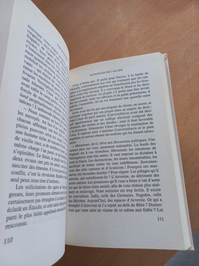 Vercingétorix - photo numéro 4