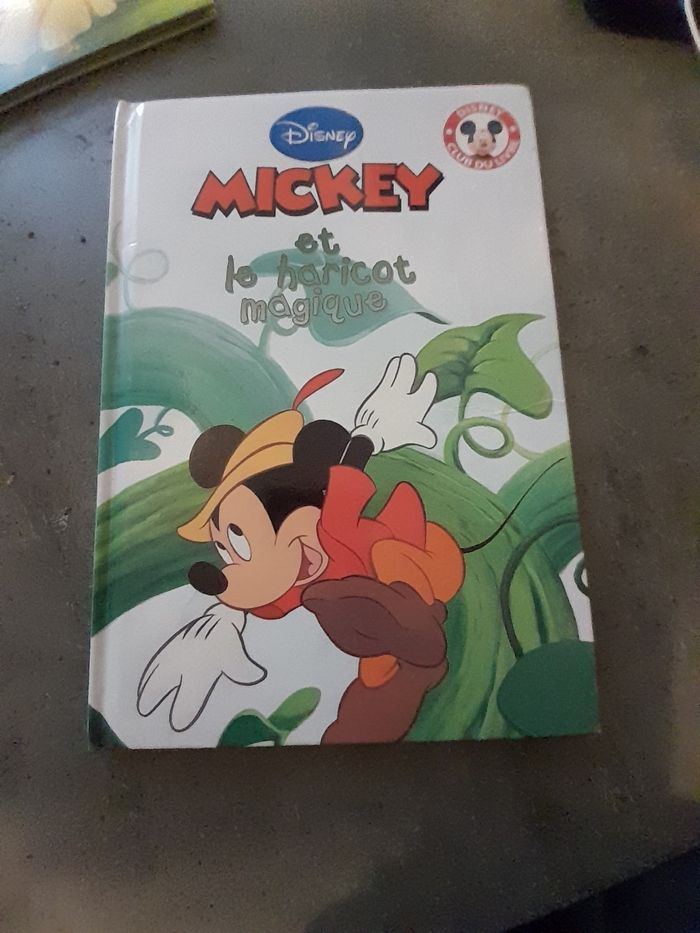 Livre disney - photo numéro 3