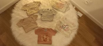 Lot de 6 bodies manche courte 6 mois