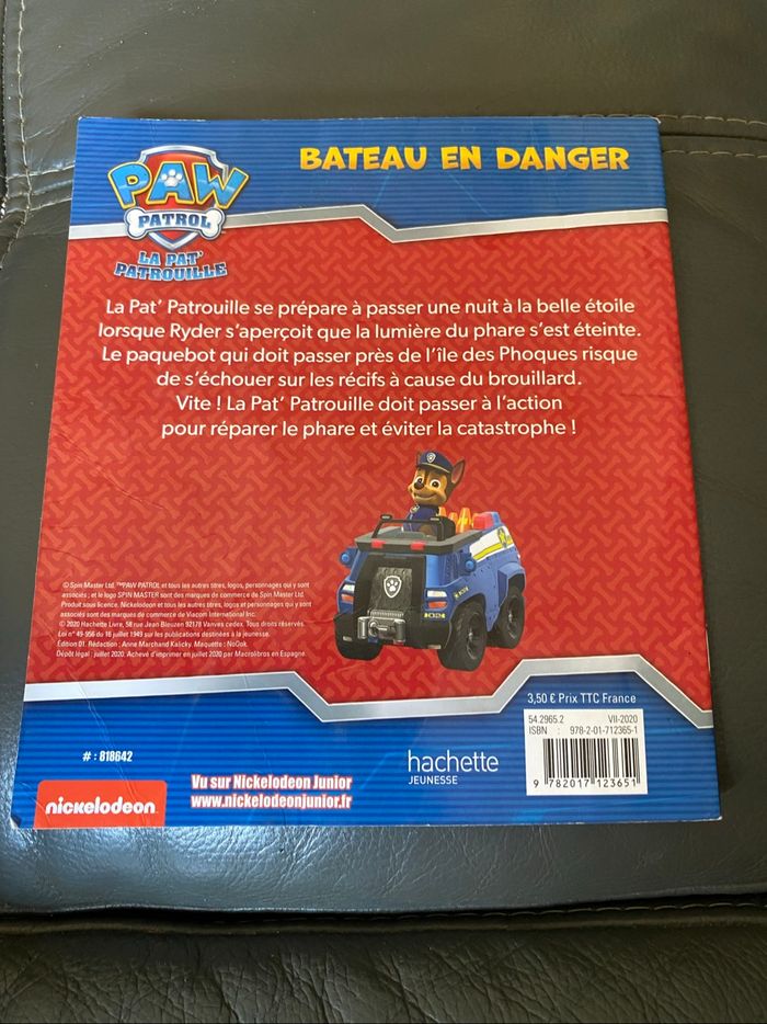 Bateau en danger la pat patrouille - photo numéro 2