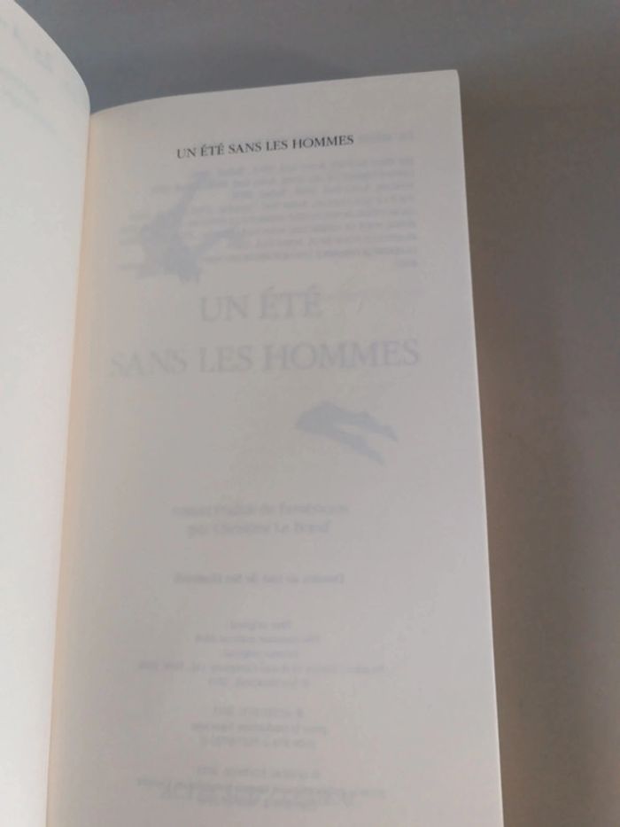Un été sans les hommes de Siri Hustvedt - photo numéro 10