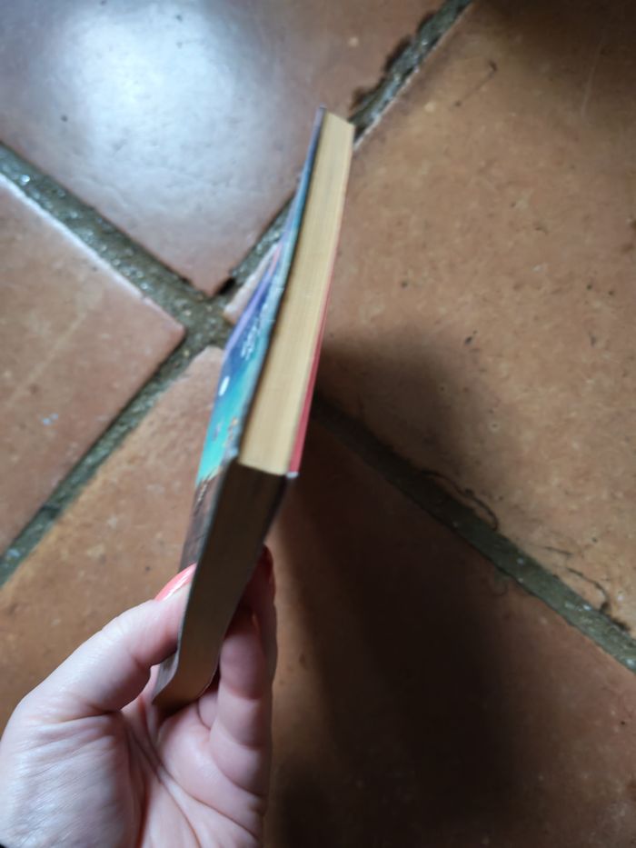 Les oubliés de vulcain, livre de Danielle Martinigol - photo numéro 5