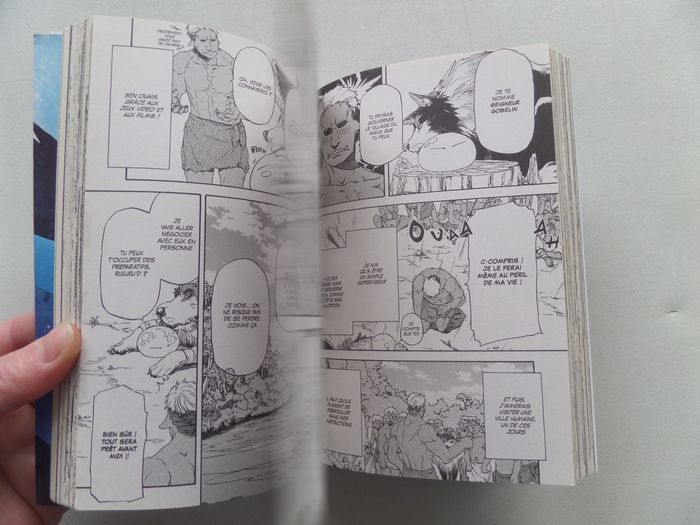 Manga - photo numéro 3