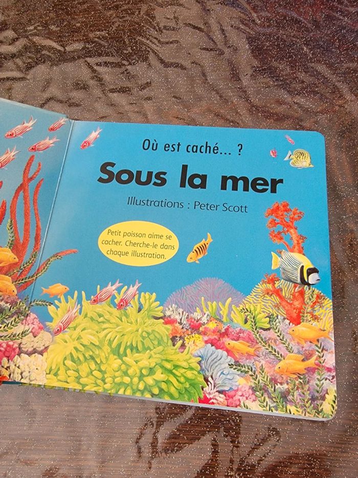 Sous la mer - photo numéro 5