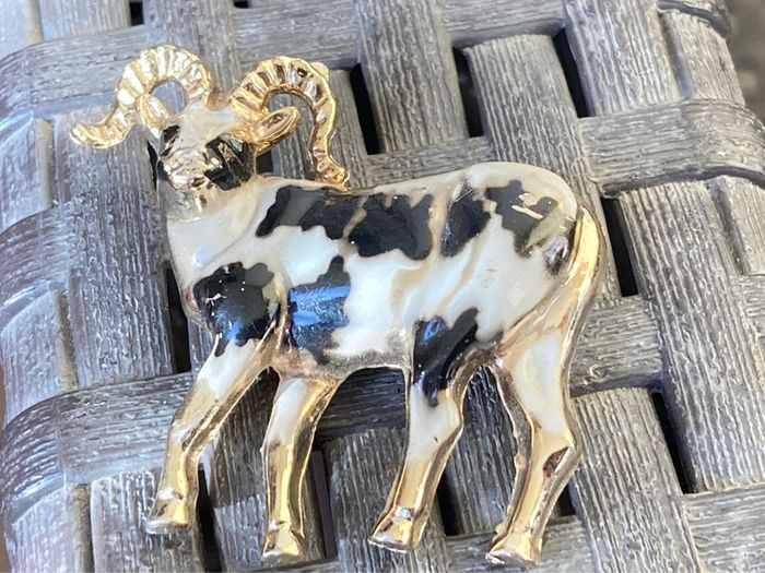 Broche - photo numéro 4