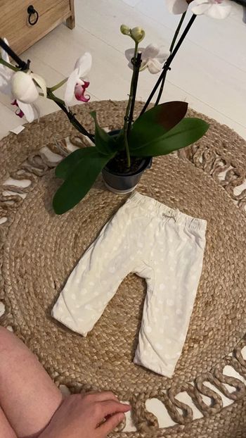 Pantalon Disney baby orchestra