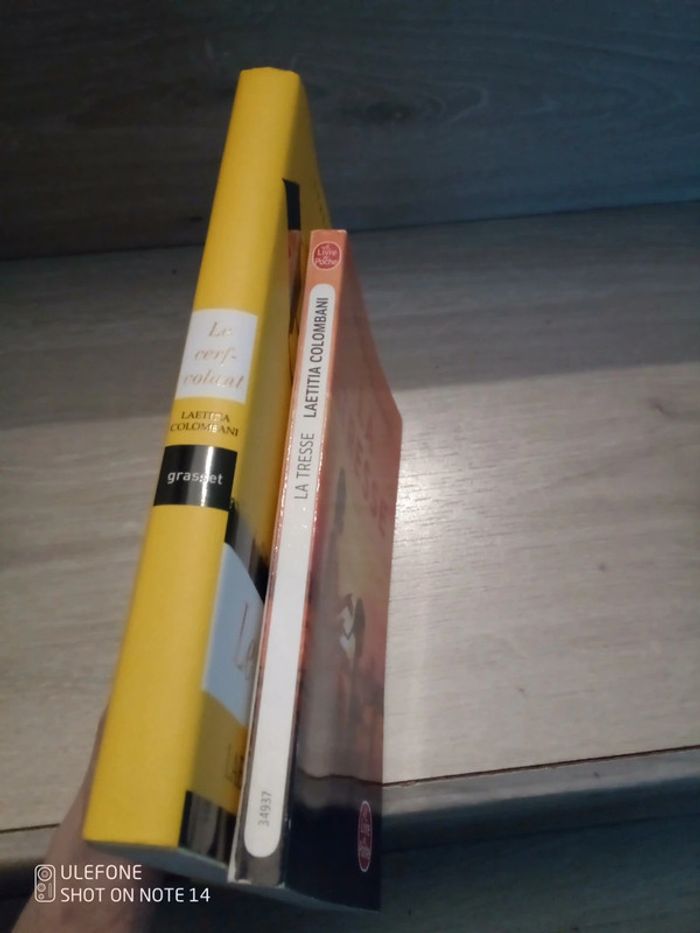 Lot de 2 romans la tresse + le cerf volant - photo numéro 2