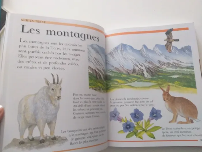 Ma grande encyclopédie 5-8 ans - photo numéro 7