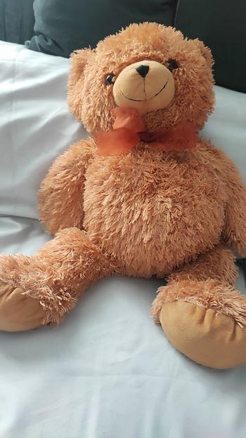 Grande Peluche doudou toute douce ourson 