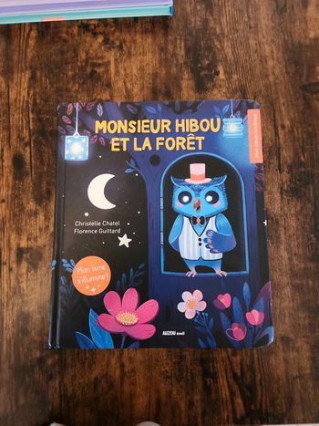 Livre enfant : Monsieur hibou et la forêt