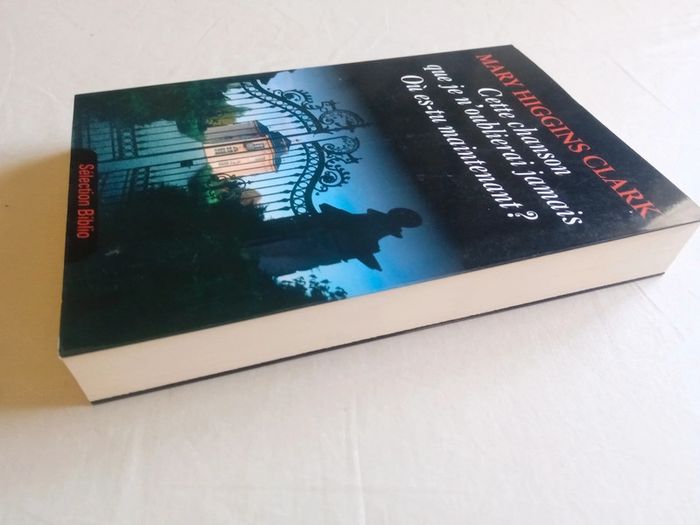 Cette chanson que je n'oublierai jamais - Où es-tu maintenant ? - photo numéro 3