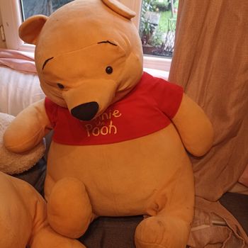 Pluche Winnie