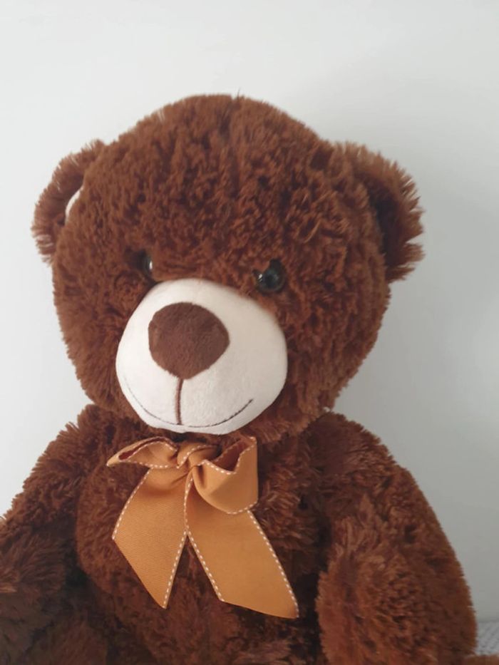 Ours peluche - photo numéro 2