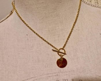 Collier chaîne épaisse cercle tige traversante médaille acier inoxydable or
